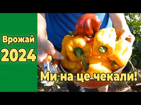 Видео: Ми на це чекали!