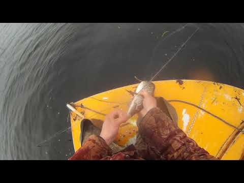 Видео: Весна! 2021 ставные сети.