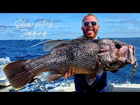 Видео: Большая рыба на джиг