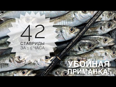 Видео: 42 ставриды за 1.5 часа! Убойная приманка! Ловля ставриды в Чёрном море на спиннинг.
