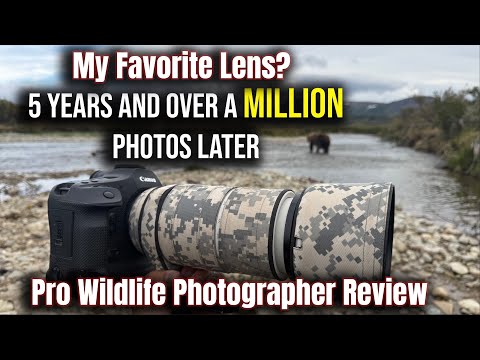 Видео: Обзор Canon 100-500mm — лучший объектив на свете? — 5 лет с профессиональным фотографом дикой при...
