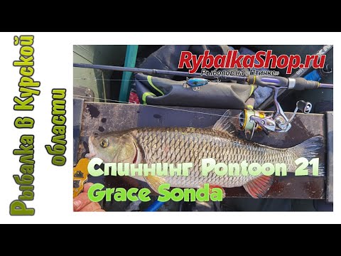 Видео: Обзор спиннинга Pontoon 21 Grace Sonda из Рыбалкашоп.Ру