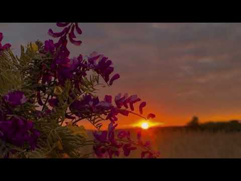 Видео: песни для флешмоба|любимые песни/