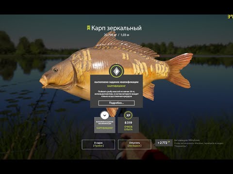 Видео: РР4 Раздача карпов на Янтарке!!! Достал карпа на 25кг