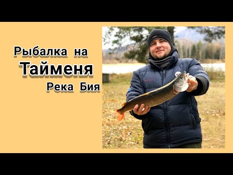 Видео: Рыбалка на Тайменя. Рыбачу на реке Бия. Закрытие сезона жидкой воды.