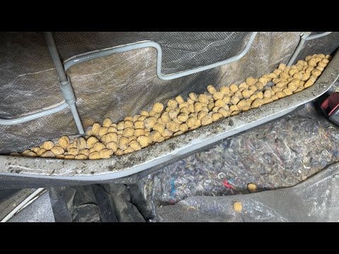 Видео: Разворованный W140. Вскрытие показало...