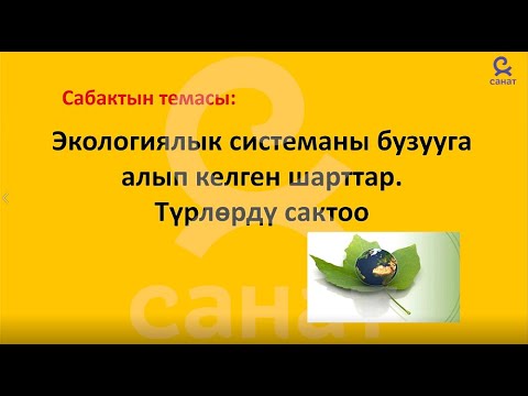 Видео: Биология 11 класс 29 сабак