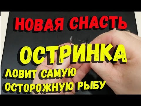 Видео: Новая снасть Остринка для ловли осторожной рыбы