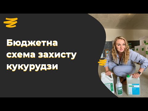 Видео: 🌽 ЕКОНОМНА СХЕМА ЗАХИСТУ КУКУРУДЗИ ВІД БУР'ЯНІВ