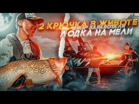 Видео: 2 КРЮКА В ЖИВОТЕ. Лодка на мели. БУЛИ СНОВА В ДЕЛЕ! Как организовать БЫТ В ЛОДКЕ НА 20 ДНЕЙ. PAL 22