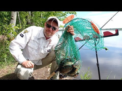 Видео: За КАРАСЁМ на торфяные карты. Ловля на флэт метод и поплавочную удочку