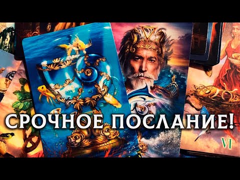 Видео: ВАМ СРОЧНОЕ ПОСЛАНИЕ! РЕЗКИЕ ПЕРЕМЕНЫ СУДЬБЫ В ТВОЕЙ ЖИЗНИ!