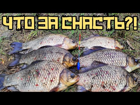 Видео: СДЕЛАЛ СЕКРЕТНУЮ ОСНАСТКУ и поймал на неё... ПОЛНЫЙ САДОК КАРАСЯ!