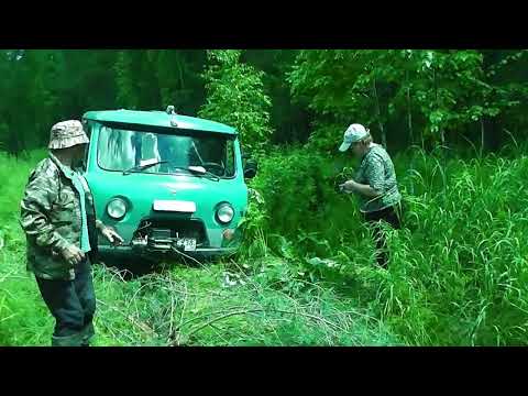 Видео: В Камыжи  на прямик