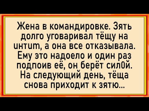 Видео: Как зять тёщу 0прихоgовал! Сборник свежих анекдотов! Юмор!