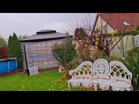 Видео: ПОЧЕМУ Я ТАК СДЕЛАЛА 