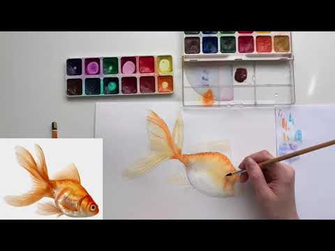 Видео: Как нарисовать рыбу акварелью