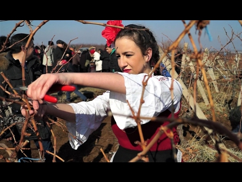 Видео: Трифон Зарезан в село Брестовица, България- Trifon Zarezan