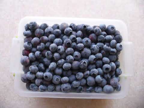 Видео: Как я  ЗАМОРАЖИВАЮ ГОЛУБИКУ. How to freeze blueberries.