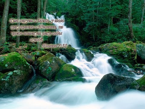 Видео: Алексей Коломийцев в Красноярске. 4 часть. Духовная зрелость.