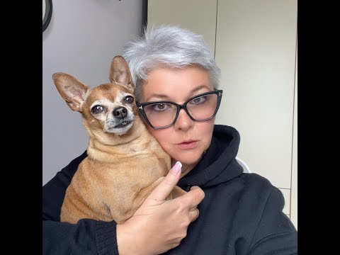 Видео: Предлог DI - когда он НЕ нужен? #итальянскийдляначинающих #предлогивитальянском