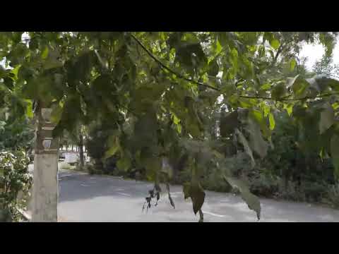 Видео: Ангрен. улица Алишера Навои. от 3/2 до базара Димитрова