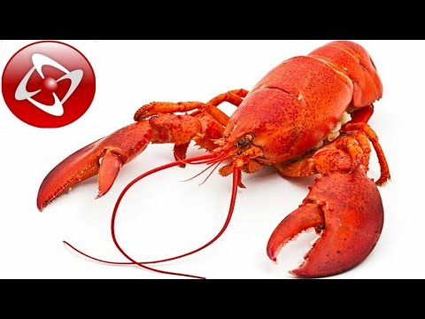 Видео: КАК СДЕЛАТЬ ВИЗУАЛЬНУЮ НОВЕЛЛУ В КЛИКТИМЕ ЗА 8 МИНУТ И 10 СТРОЧЕК КОДА