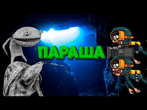 Видео: Снимаем и угораем, а дальше по ситуации...