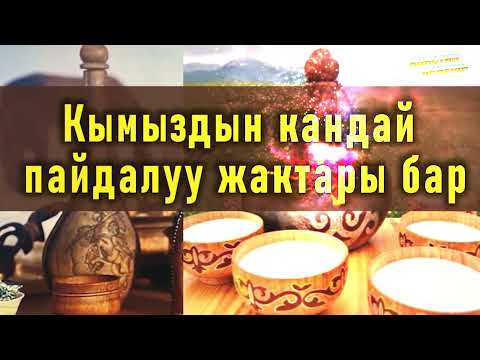 Видео: Кымыздын ден соолукка пайдасы