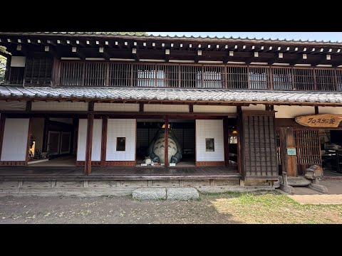 Видео: В гости к духам леса: бродилка по заповеднику, откуда появился Тоторо. Домик Куроскэ.Безлюдный храм.