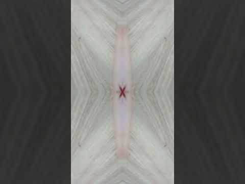 Видео: 9 сентября 2025 г.