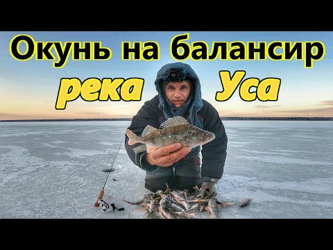 Видео: ОКУНЬ НА БАЛАНСИР ПО ПЕРВОМУ ЛЬДУ/РЕКА УСА, САМАРСКАЯ ОБЛАСТЬ/ПОПАЛ НА ЖОР ОКУНЯ/ЗИМНЯЯ РЫБАЛКА 2023