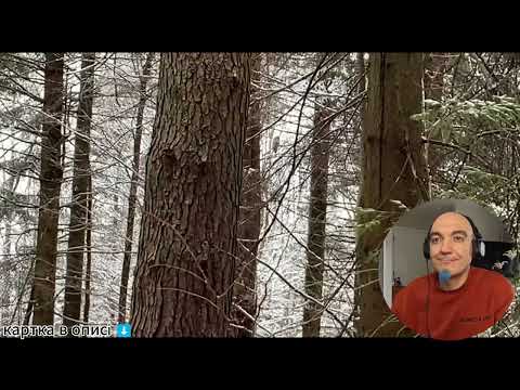 Видео: Досвід невдалих спроб.