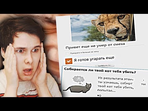 Видео: СОБИРАЕТСЯ ЛИ ТВОЙ КОТ ТЕБЯ ЗАКОНЧИТЬ? - ТЕСТЫ ВК