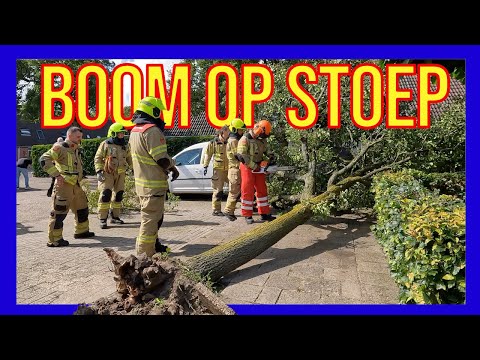 Видео: Упавшее дерево - ДОБРОВОЛЬЦЫ ГОЛЛАНДСКИЕ ПОЖАРНЫЕ -