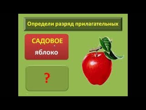 Видео: Разряды имен прилагательных по значению 6 класс | #твшкола5+