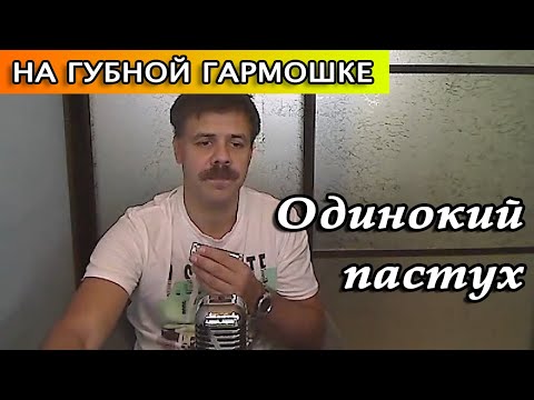 Видео: Одинокий пастух на губной гармошке