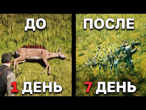 Видео: Сравнение деталей в мире RDR 2 и Ведьмак 3 - что лучше?