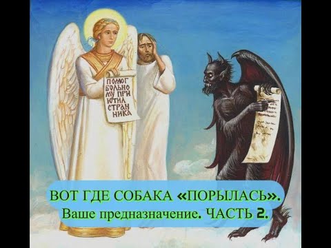 Видео: ВОТ ГДЕ СОБАКА "ПОРЫЛАСЬ". Ваше предназначение. ЧАСТЬ 2 #вашепредназначениечасть2#карма#бывшийтаро
