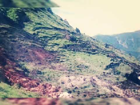 Видео: Жай-терек айылы