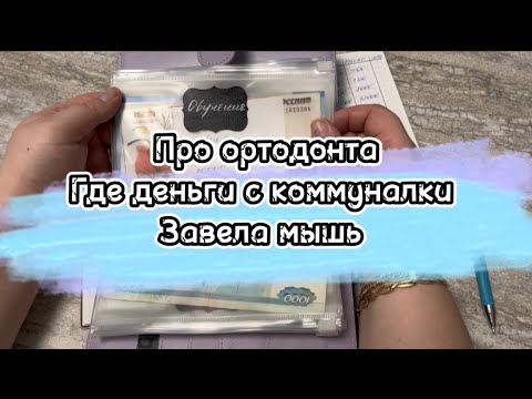 Видео: #20 Про ортодонта 🦷 Где деньги с коммуналки 💸 Завела мышь 🐭 #cash #деньгипоконвертам