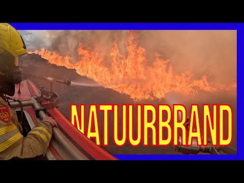 Видео: Очень большой лесной пожар - ДОБРОВОЛЬЦЫ ГОЛЛАНДСКИЕ ПОЖАРНЫЕ -