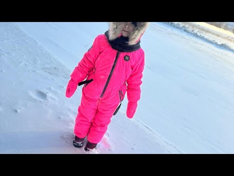 Видео: Норильск .Засыпало снегом !❄️❄️❄️17.11.24г