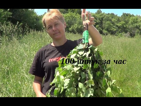 Видео: Как быстро связать березовые веники