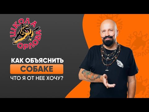 Видео: Как объяснить собаке, что я от нее хочу?