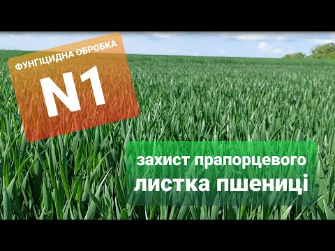 Видео: Фунгіцидна обробка №1: захист прапорцевого листка пшениці