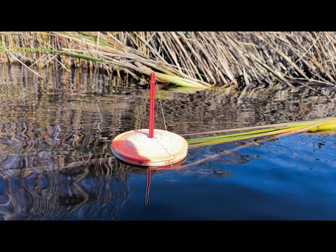 Видео: НЕ ЗРЯ ПРИЕХАЛ В ЭТО МЕСТО)) ПОКЛЁВКА ЗА ПОКЛЕВКОЙ.РЫБАЛКА НА КРУЖКИ.