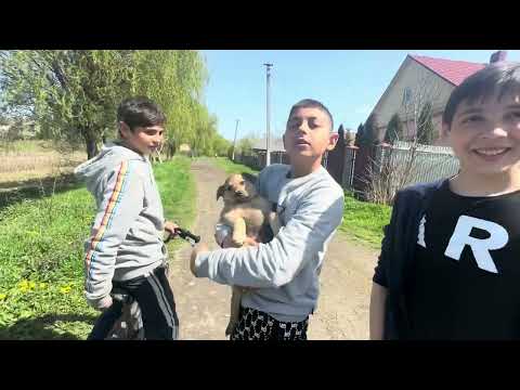 Видео: Роми Закарпаття. Паралельна реальність. Ромське поселення в угорськомовному селі. Ukrainian Roma.