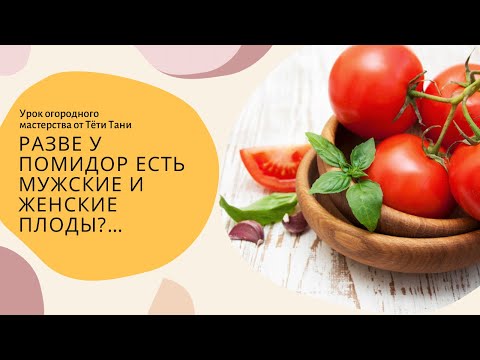 Видео: Разве у помидор есть мужские и женские плоды? Ничего себе...