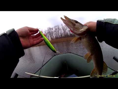 Видео: Ловля  щуки  на JACKALL MAG SQUAD 128 в конце декабря